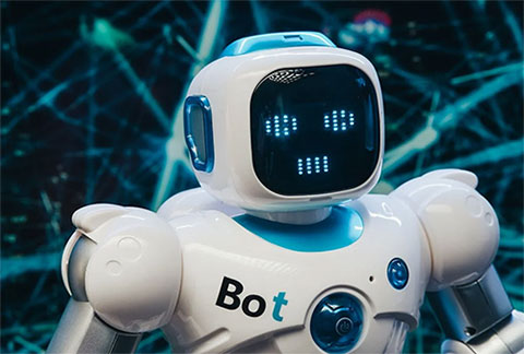 安順平壩區相關資訊BOT是什么意思？