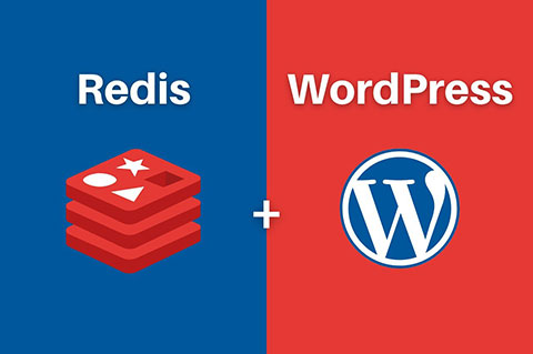 WordPress配置Redis對象緩存提升網站速度教程建站知