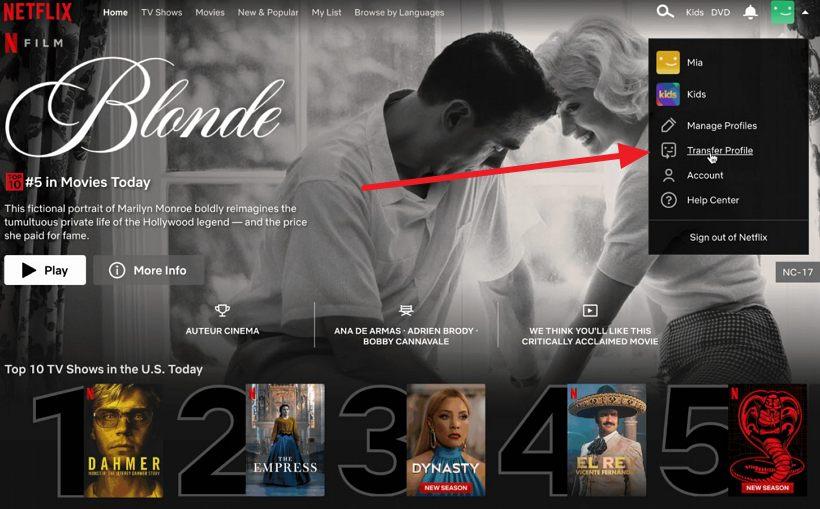 Netflix為打擊帳號共享行為推出 Profile Transfer 功能