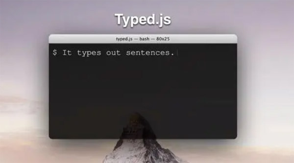 Typed打字動畫
