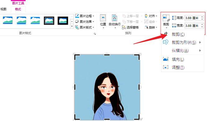 word怎么裁剪圖片_word圖片裁剪的詳細(xì)教程