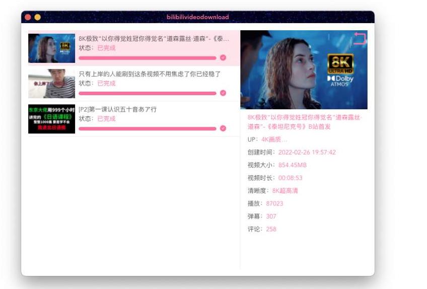 BilibiliVideoDownload - 嗶哩嗶哩視頻下載工具(支持Windows/macOS/Linux)