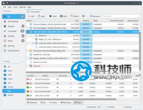  文件蜈蚣(FileCentipede) - 支持迅雷、磁力鏈、BT等協(xié)議的全能下載工具