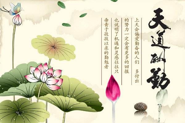 做SEO需要學(xué)習(xí)哪些技能,勤奮堅(jiān)持的人！