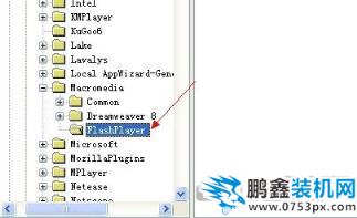 您嘗試安裝的Addbe®Flash®Player版本不是最新版本。請訪問player下載中心獲取最新、最安全的版本