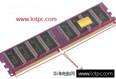 內存金手指