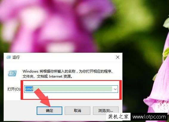如何查詢網(wǎng)站ip地址 怎樣查看網(wǎng)站的ip地址方法