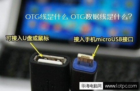 otg是什么線