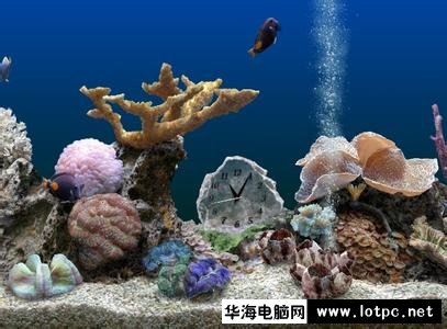 熱帶魚屏保