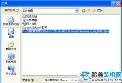 打開djvu文件