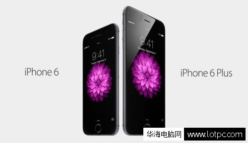 蘋果plus是什么意思