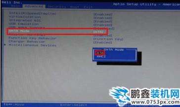 PE系統