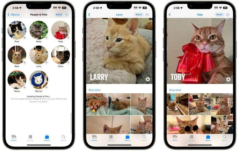 iOS 17 可從照片中識別你的寵物