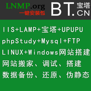 Linux/Windows環(huán)境配置/網(wǎng)站搬家搭建/LNMP/寶塔/wd***/IIS/Mysql